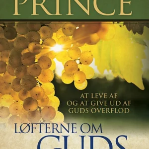 Løfterne om Guds omsorg