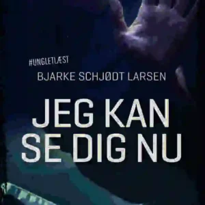 Jeg kan se dig nu