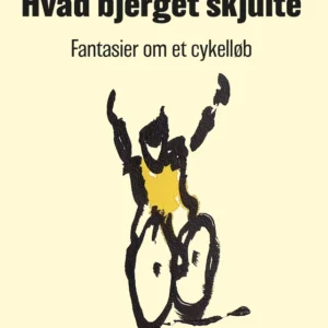 Hvad bjerget skjulte