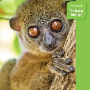 Madagascar