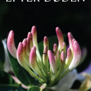 Efter døden