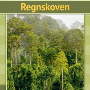 Regnskoven