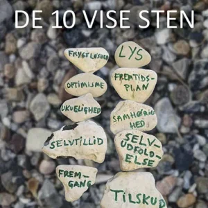 De 10 vise sten