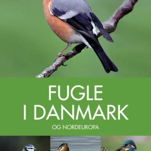 Fugle i Danmark og Nordeuropa