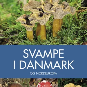 Svampe i Danmark