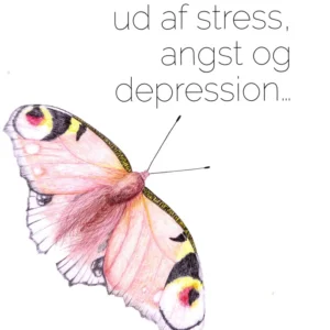 En visuel rejse ud af stress, angst og depression...