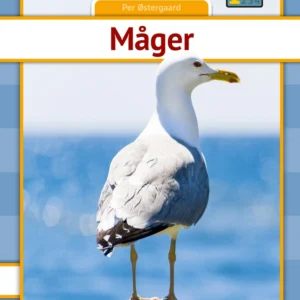 Måger