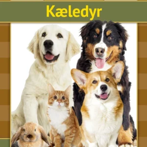 Kæledyr