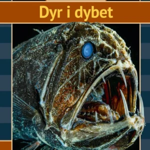 Dyr i dybet