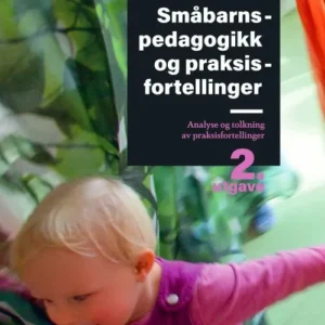 Småbarnspedagogikk og praksisfortellinger : analyse og tolkning av praksisfortellinger
