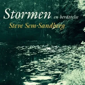 Stormen : en berättelse