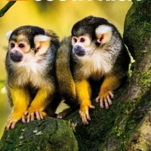 Costa Rica, Rough Guide (9th ed. Sept. 2022)