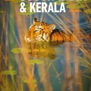 South India & Kerala