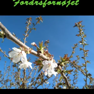 Forårsfornøjet