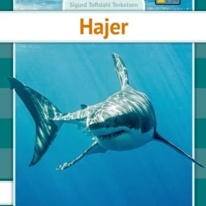 Hajer
