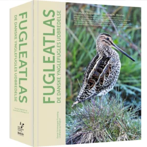 Fugleatlas