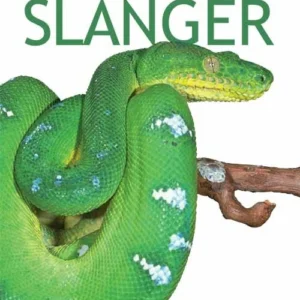 Slanger