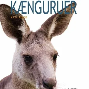 Kænguruer