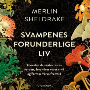 Svampenes forunderlige liv