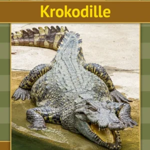 Krokodille