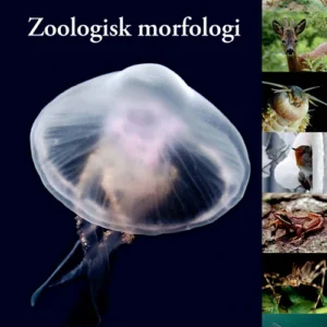 Zoologisk morfologi