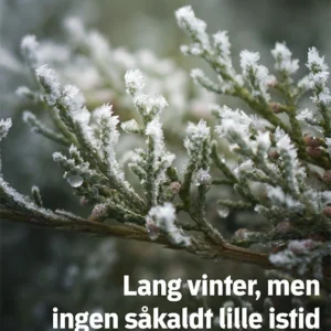 Lang vinter, men ingen såkaldt lille istid