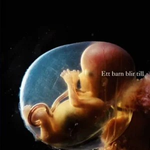 Ett barn blir till