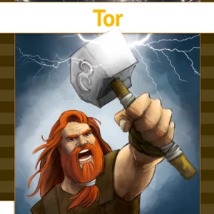 Tor