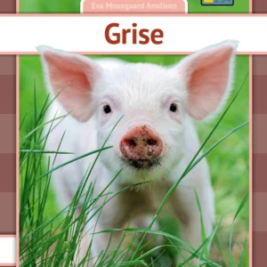 Grise
