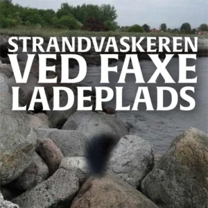 Strandvaskeren ved Faxe Ladeplads