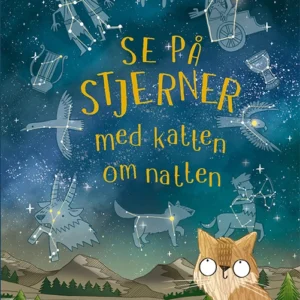 Se på stjerner med katten om natten