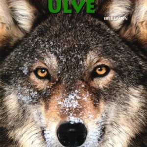 Ulve