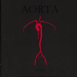 Aorta