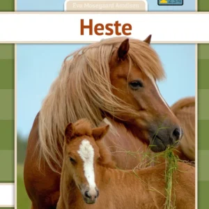 Heste