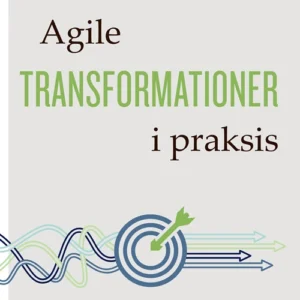 Agile transformationer i praksis