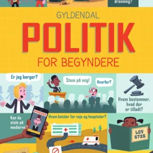Politik for begyndere
