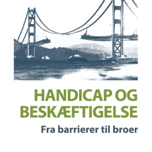 Handicap og beskæftigelse