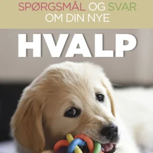 100 hurtige spørgsmål og svar om din nye hvalp