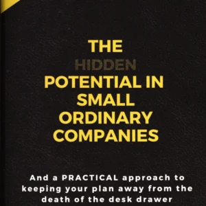 The hidden potential of small ordinary companies