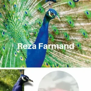 Duas stening