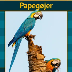 Papegøjer