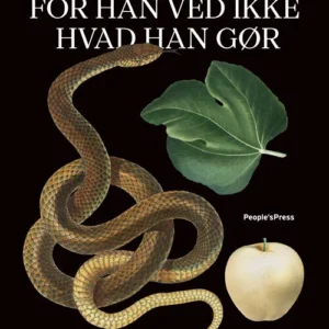 For han ved ikke hvad han gør