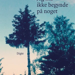 Jeg må ikke begynde på noget