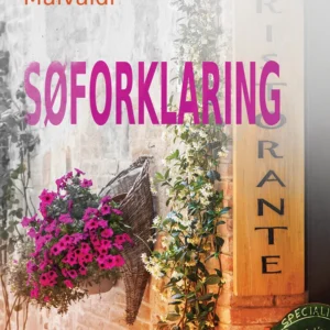 Søforklaring