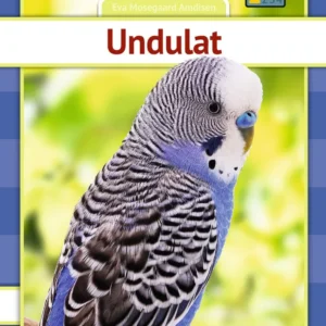 Undulat