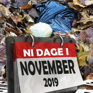 Ni dage i november 2019