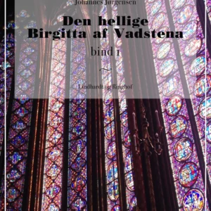 Den hellige Birgitta af Vadstena (bind 1)