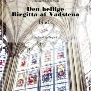 Den hellige Birgitta af Vadstena (bind 2)