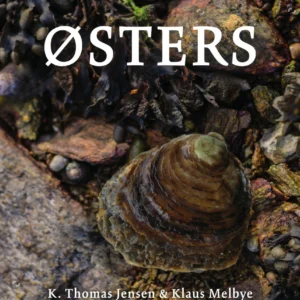 Østers