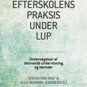 Efterskolens praksis under lup